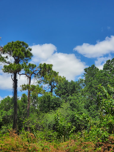 Nature Preserve «Woodmont Natural Area», reviews and photos, 7250 NW 80th Pl, Pompano Beach, FL 33321, USA