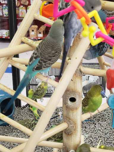 Pet Supply Store «Petco Animal Supplies», reviews and photos, 438 Southbridge St, Auburn, MA 01501, USA