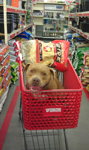 Home Improvement Store «Tractor Supply Co.», reviews and photos, 433 Centerville Turnpike S, Chesapeake, VA 23322, USA