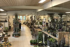 Overlund Blomster og Brugskunst - Buketter, planter, kaktusser, krukker, blomsterbutik image