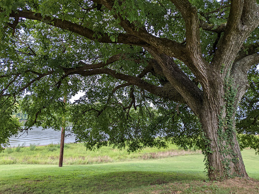 Battle Site «Fort Donelson National Battlefield», reviews and photos, 120 Lock D Rd, Dover, TN 37058, USA