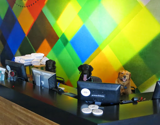 Rock Climbing Gym «Seattle Bouldering Project», reviews and photos, 900 Poplar Pl S, Seattle, WA 98144, USA