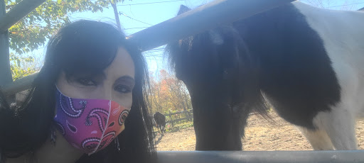 Animal Rescue Service «Ray of Light Farm Inc», reviews and photos, 232 Town St, East Haddam, CT 06423, USA