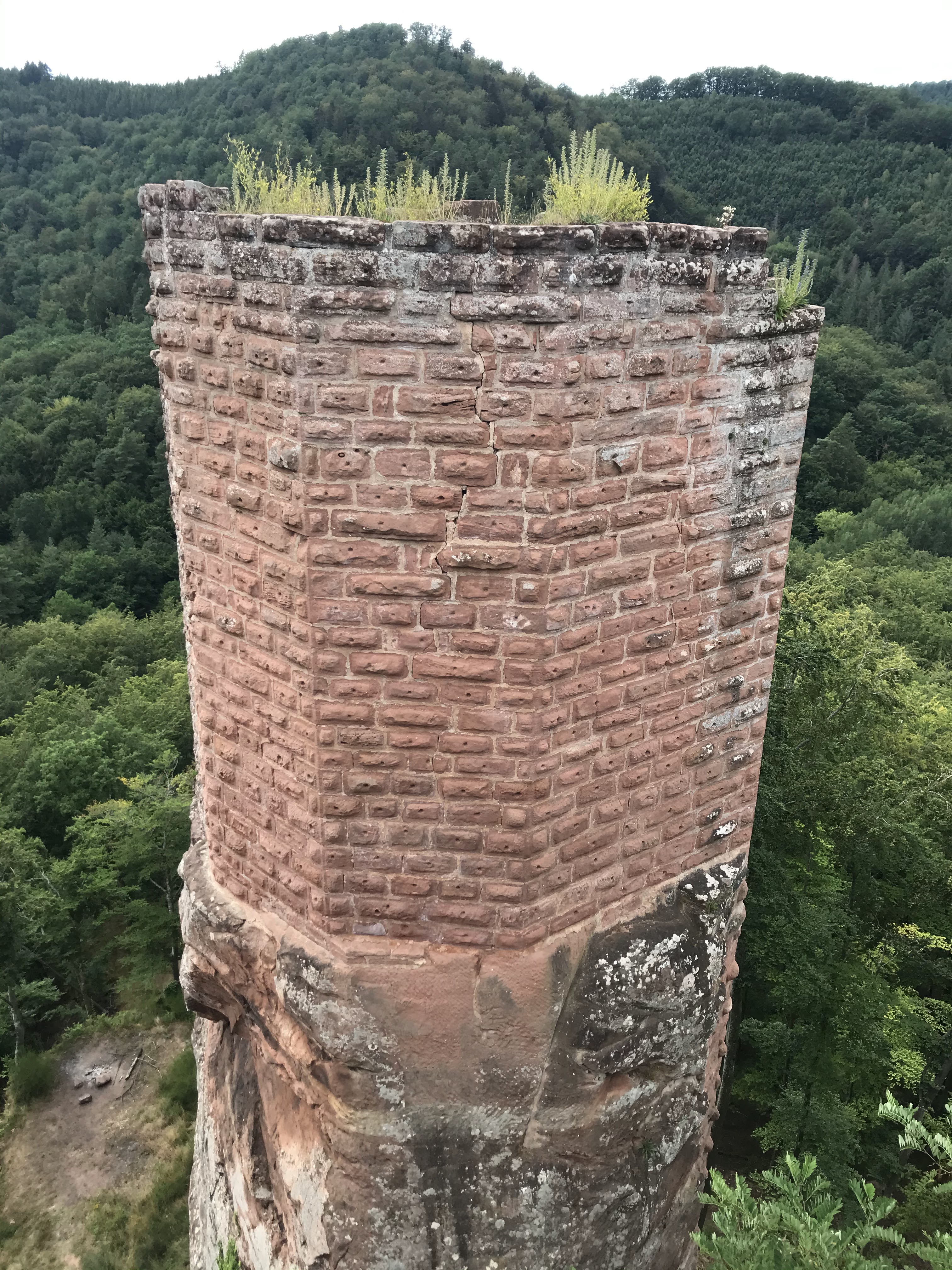 Photo n° 5 de l'avis de Philippe.o fait le 20/07/2020 à 11:01