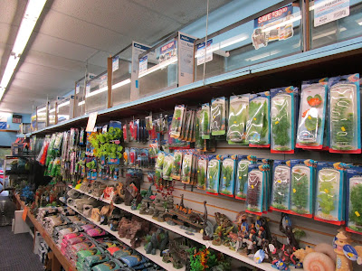 Havent been here in awhile, but they always had huge variety of cichlids, predatory catfish and other harder to find