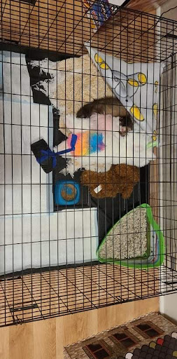 Pet Supply Store «Petco Animal Supplies», reviews and photos, 3430 W State St, Grand Island, NE 68803, USA