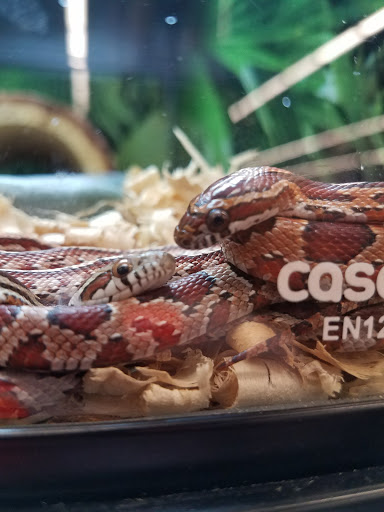 Pet Supply Store «PetSmart», reviews and photos, 6345 Garth Rd #140, Baytown, TX 77521, USA