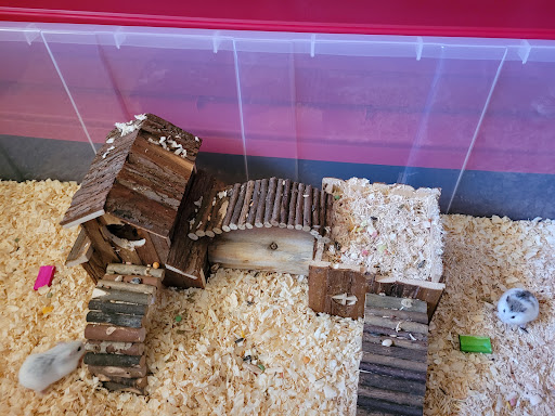 Pet Supply Store «Petco Animal Supplies», reviews and photos, 4915 E 41st St C, Tulsa, OK 74135, USA