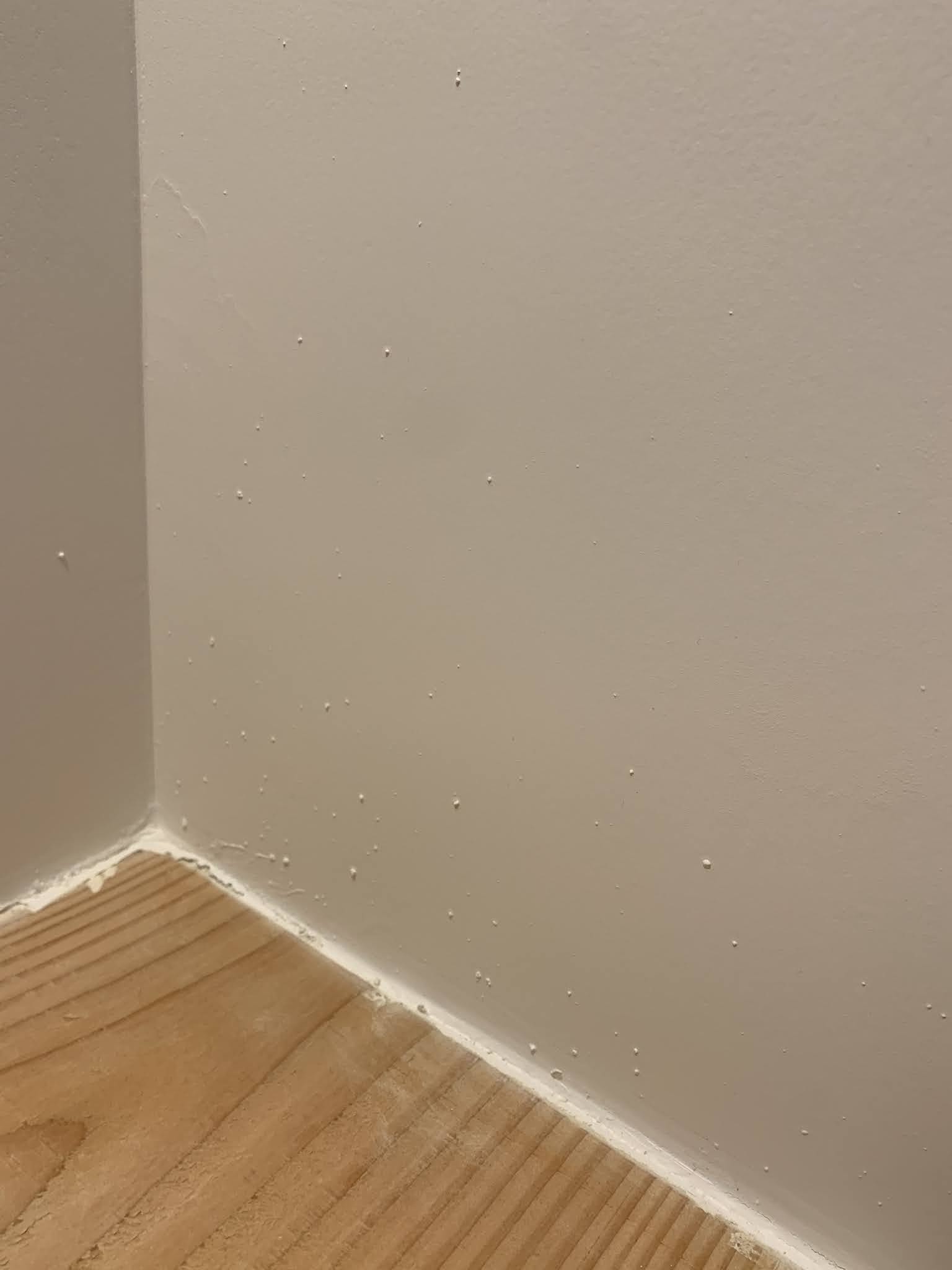 Photo n° 3 de l'avis de Charles-Edouard.E fait le 13/09/2021 à 18:29