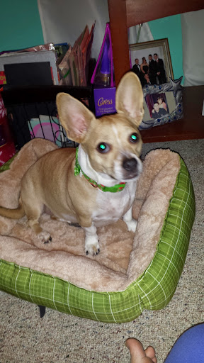 Public Golf Course «Neshaminy Valley Golf Club - OPEN to PUBLIC», reviews and photos, 440 Almshouse Rd, Richboro, PA 18954, USA