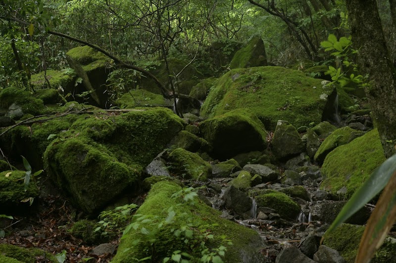 女の川