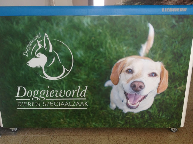 Doggieworld - Dendermonde