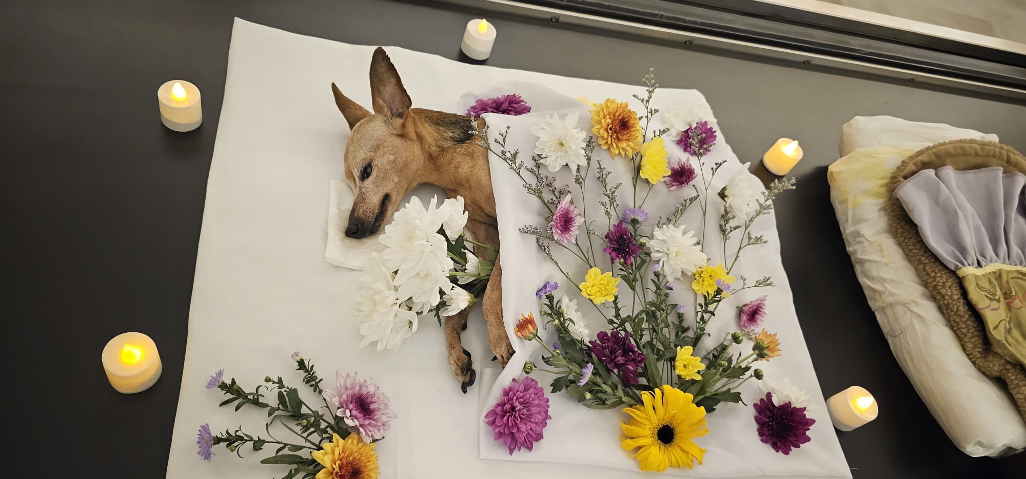 AF1QipPHWwQZndqqag1UV0OxHDTLPfC1pRMdqWUhANb2=s0