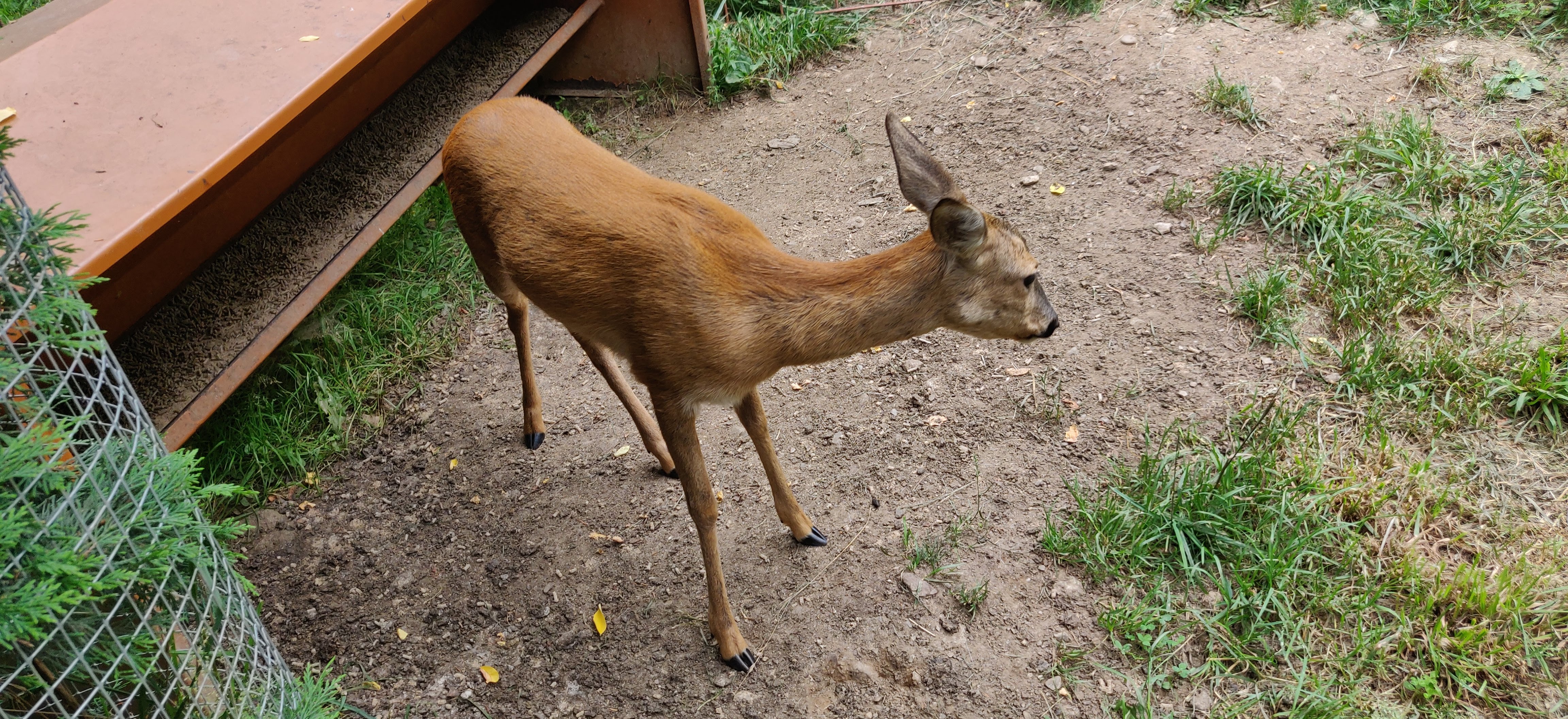 Photo n° 28 de l'avis de Frédéric.o fait le 15/11/2022 à 09:50