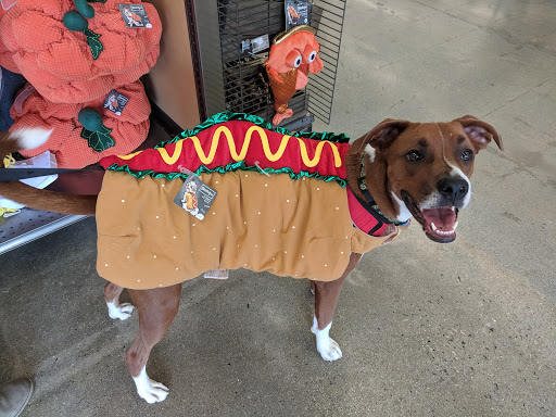 Pet Supply Store «Petco Animal Supplies», reviews and photos, 190 Quality Dr, Hooksett, NH 03106, USA