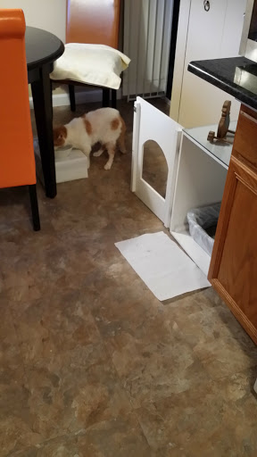 Home Improvement Store «The Home Depot», reviews and photos, 20 Farber Dr, Bellport, NY 11713, USA