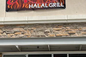 Aladdin Halal Grill image