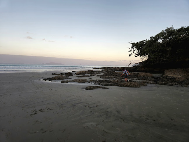 Learn 2 Surf Waipu Cove - Sports Complex