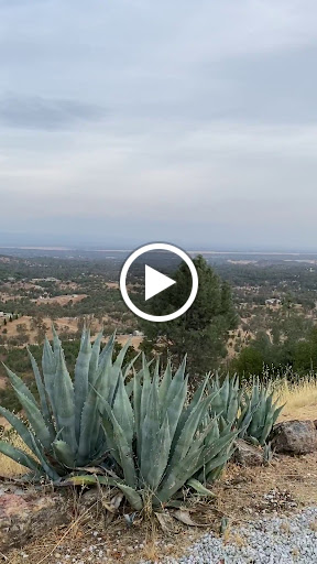 Chris & Maria Jeantet Shasta Living Real Estate image