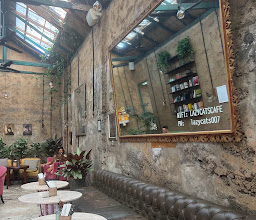 Lazy Cats Cafe photo