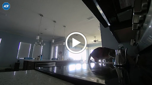 Drug Store «Walgreens», reviews and photos, 501 Havendale Blvd, Auburndale, FL 33823, USA