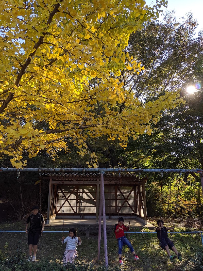 市之木場公園