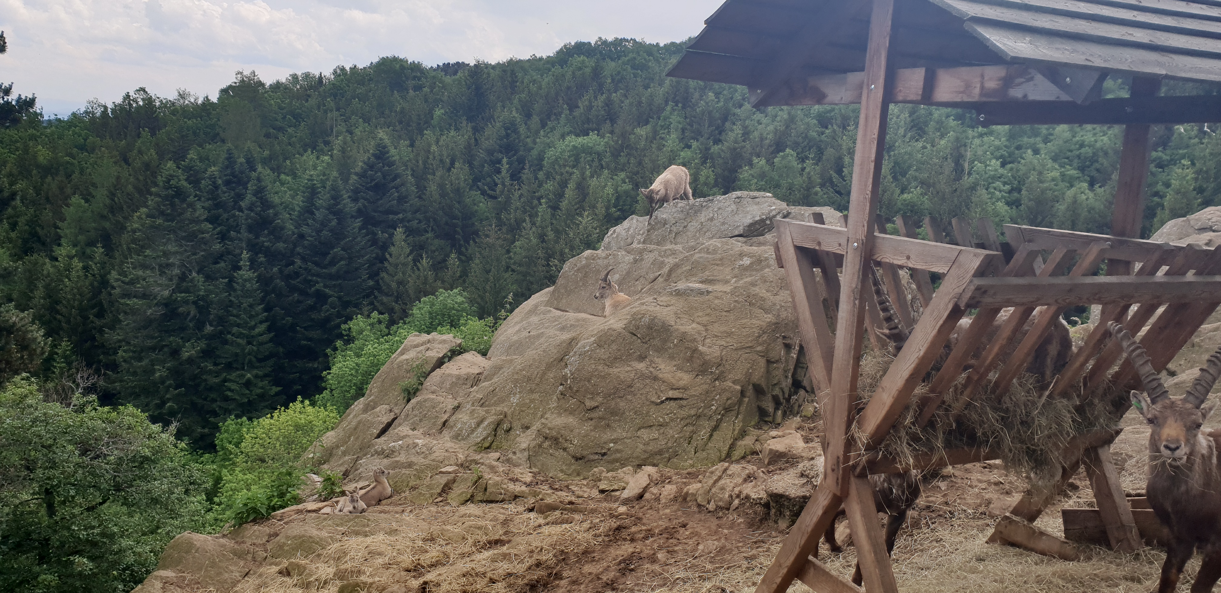 Photo n° 16 de l'avis de Lady.a fait le 24/05/2018 à 16:49