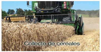 Sca Qualisol à Miramont-de-Quercy