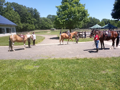 Sunnyside Equestrian Center