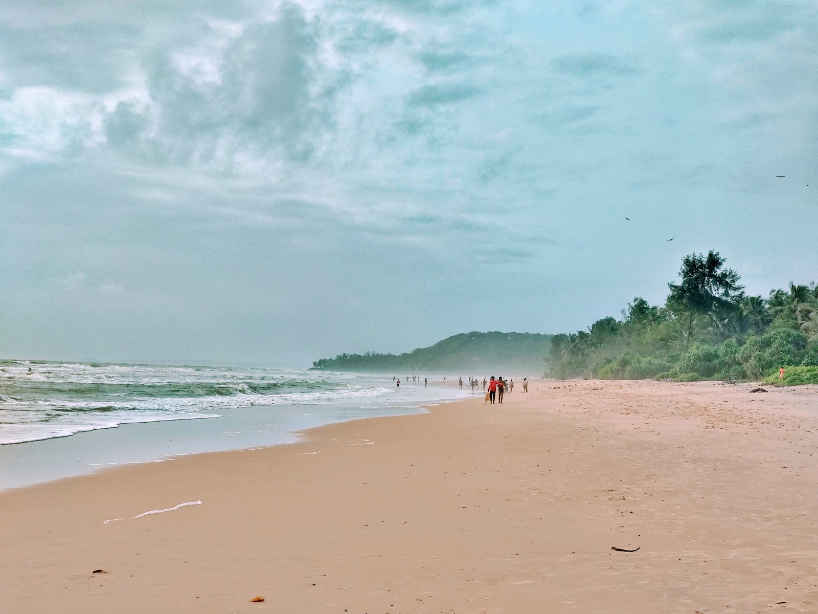 Photo de Alivekodi Beach avec sable lumineux de surface