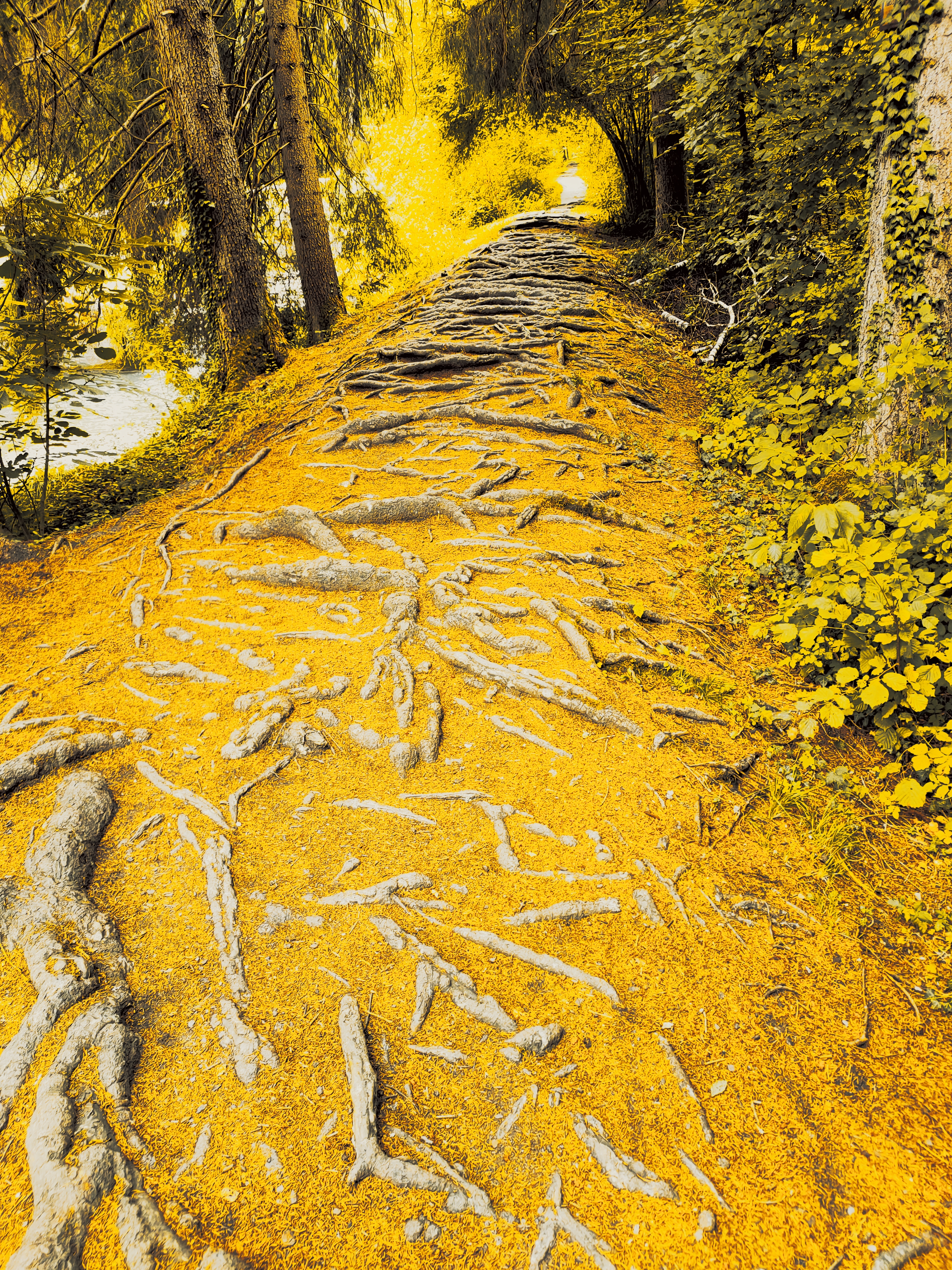 Photo n° 7 de l'avis de Franck. fait le 24/12/2022 à 13:47