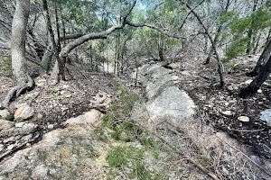 Brushy Creek trail head image
