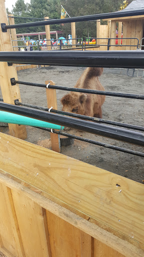 Childrens Farm «Best Long Island Pumpkin Picking», reviews and photos, 250 Old Country Rd, Melville, NY 11747, USA