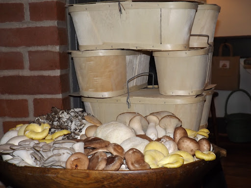 Produce Market «The Woodlands at Phillips», reviews and photos, 1020 Kaolin Rd, Kennett Square, PA 19348, USA