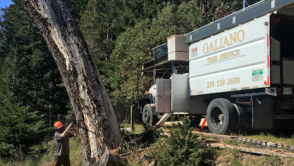 Galiano Tree Service