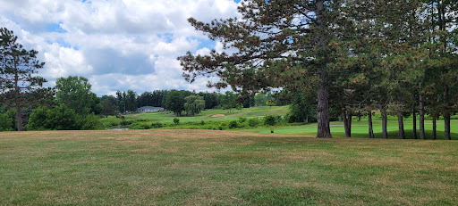 Golf Course «The Emerald Golf Course», reviews and photos, 2300 W Maple Rapids Rd, St Johns, MI 48879, USA