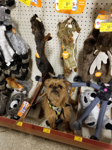 Pet Supply Store «PetSmart», reviews and photos, 777 S Willow St, Manchester, NH 03103, USA