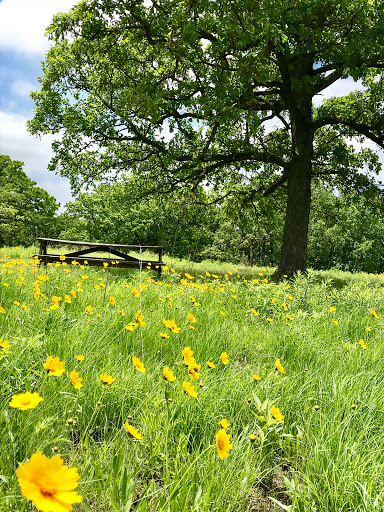 Nature Preserve «Lakeside Nature Center», reviews and photos, 4701 E Gregory Blvd, Kansas City, MO 64132, USA