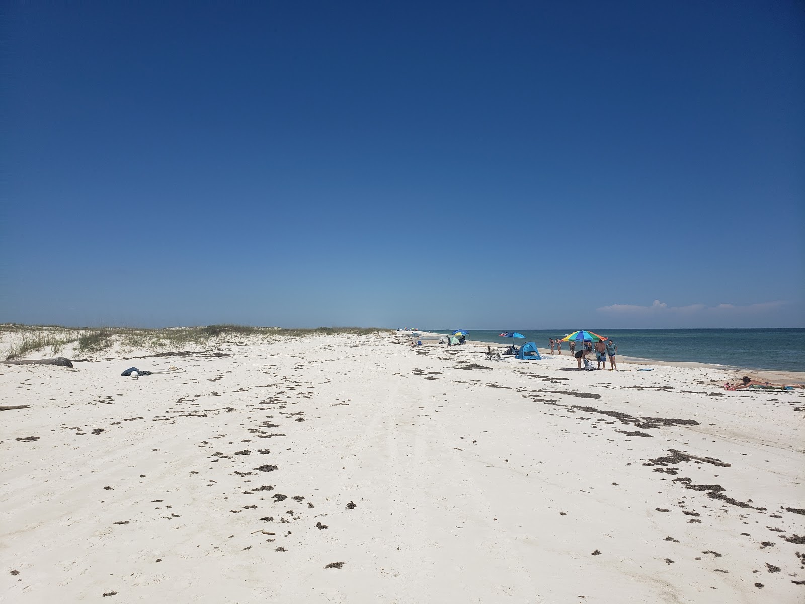 Foto af Dunedin Beach med høj niveau af renlighed