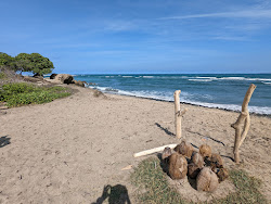 Waiehu Beach'in fotoğrafı uçurumlarla desteklenmiş
