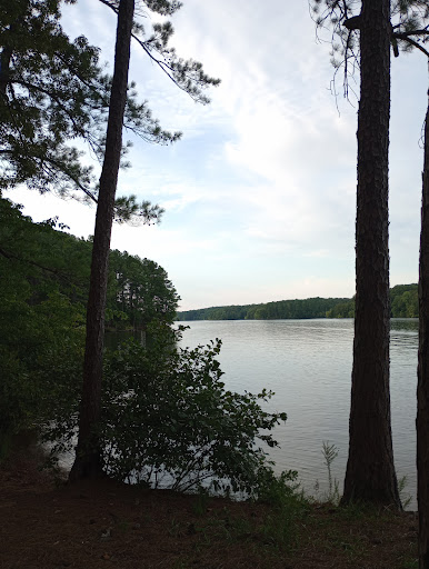 State Park «Natchez Trace State Park», reviews and photos, 24845 Natchez Trace Rd, Wildersville, TN 38388, USA