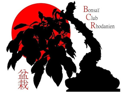 Bonsaï Club Rhodanien à Salaise-sur-Sanne