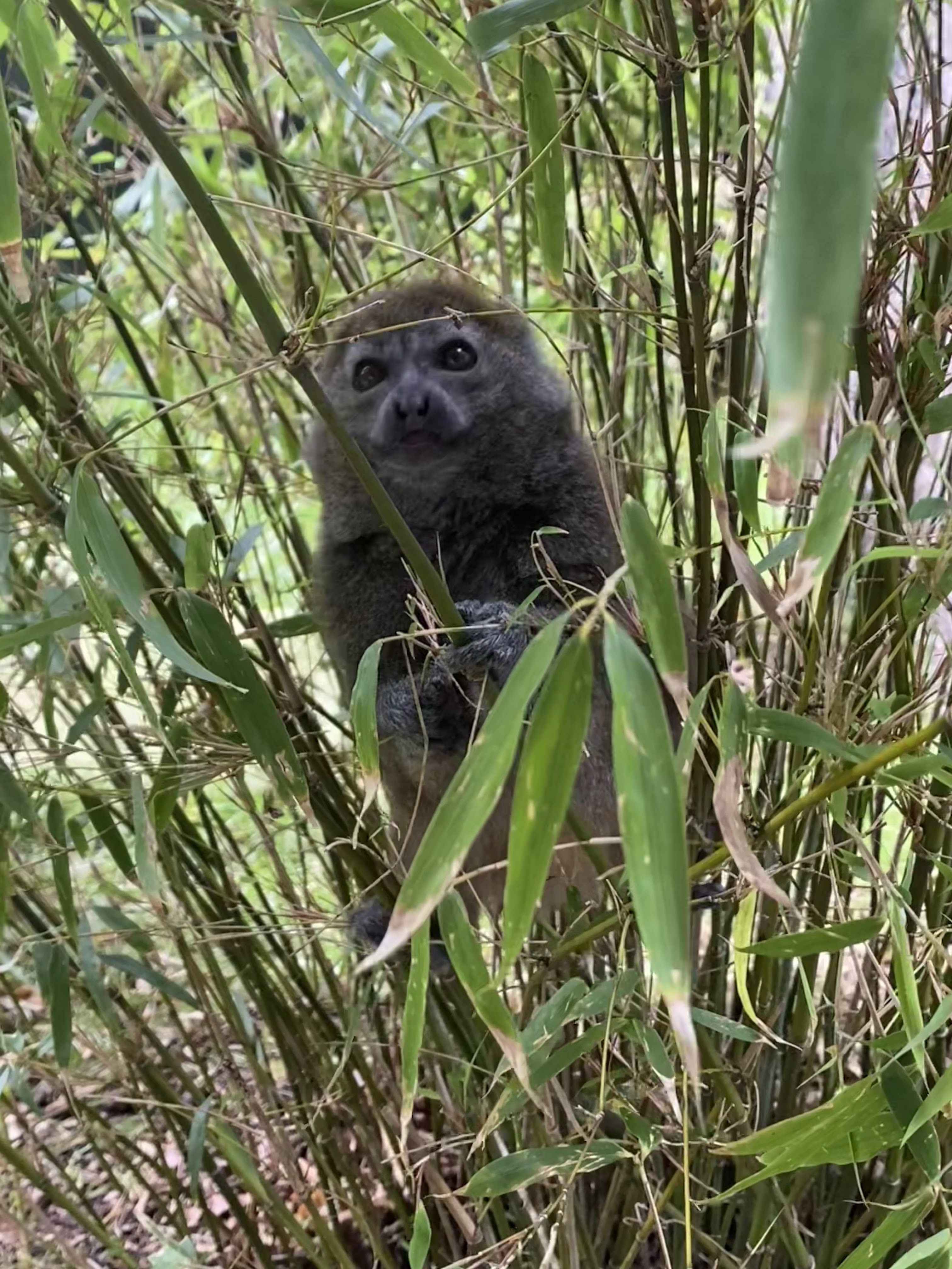 Photo n° 34 de l'avis de Mickael.e fait le 11/08/2023 à 05:54