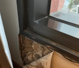 Hilton Guadalajara photo