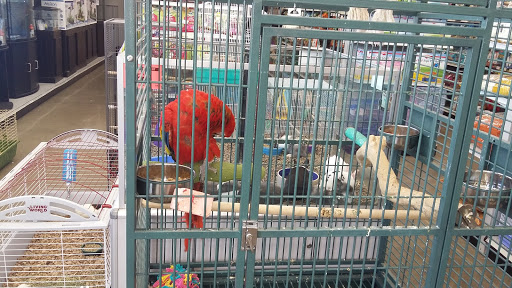 Pet Store «Carters Pet Mart», reviews and photos, 510 N Main St, Manteca, CA 95336, USA
