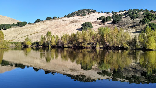 Nature Preserve «Brushy Peak Regional Preserve», reviews and photos, Laughlin Rd, Livermore, CA 94551, USA