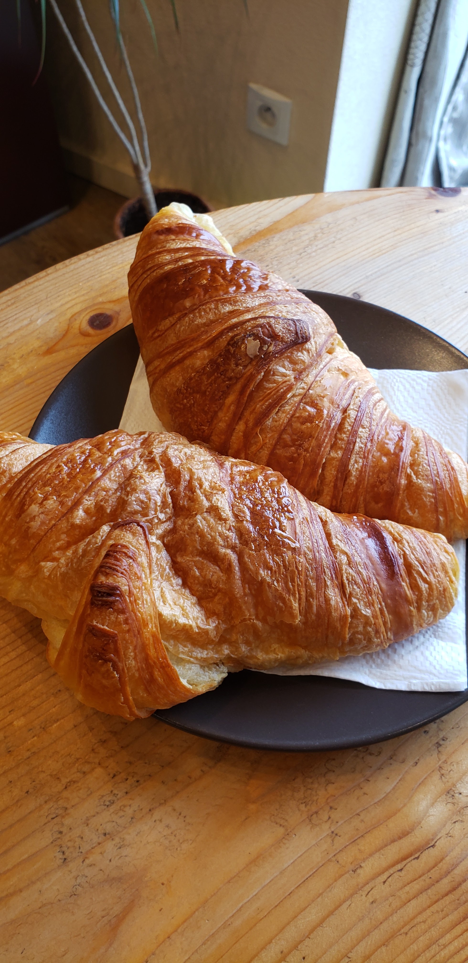 Photo n° 9 de l'avis de Dom.i fait le 10/03/2019 à 10:02