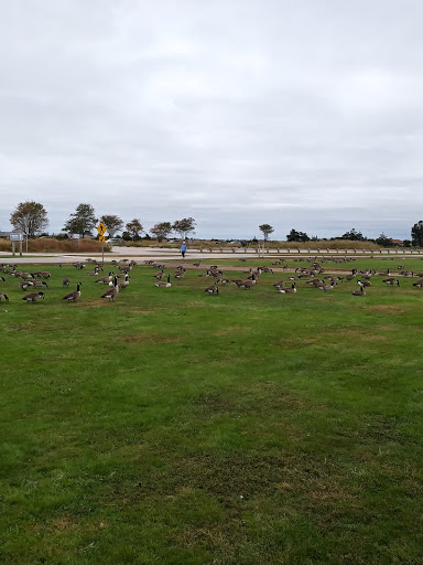 Nature Preserve «Meigs Point Nature Center», reviews and photos, 1288 Boston Post Rd, Madison, CT 06443, USA