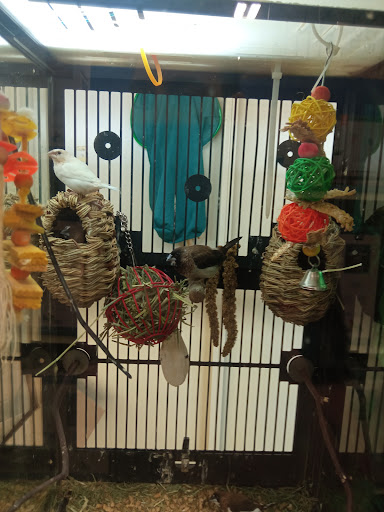 Pet Supply Store «PetSmart», reviews and photos, 2458 Central Park Ave, Yonkers, NY 10710, USA