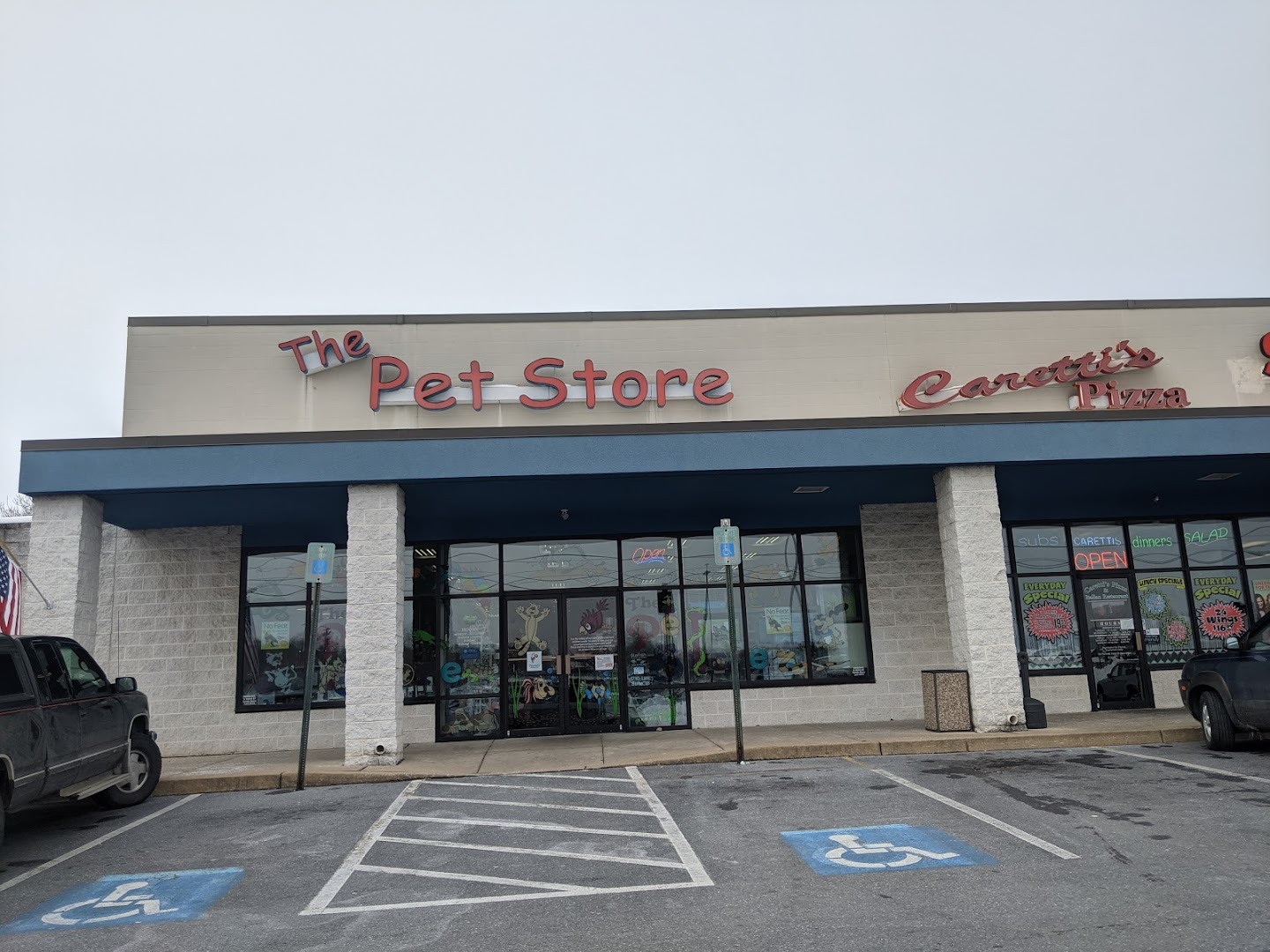 The Pet Store